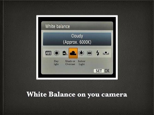 How to White Balance.005.jpg How to White Balance.005.jpg